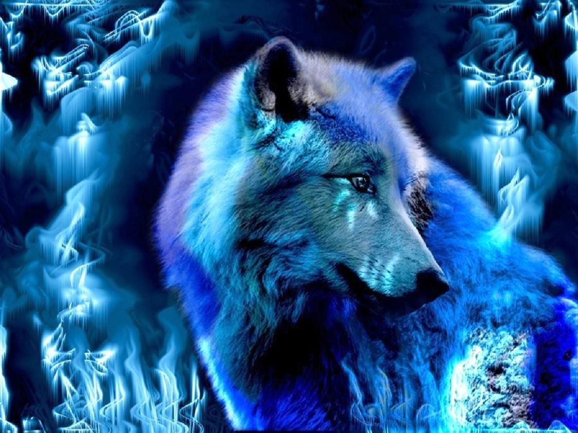Ice Wolf Wallpaper - KibrisPDR
