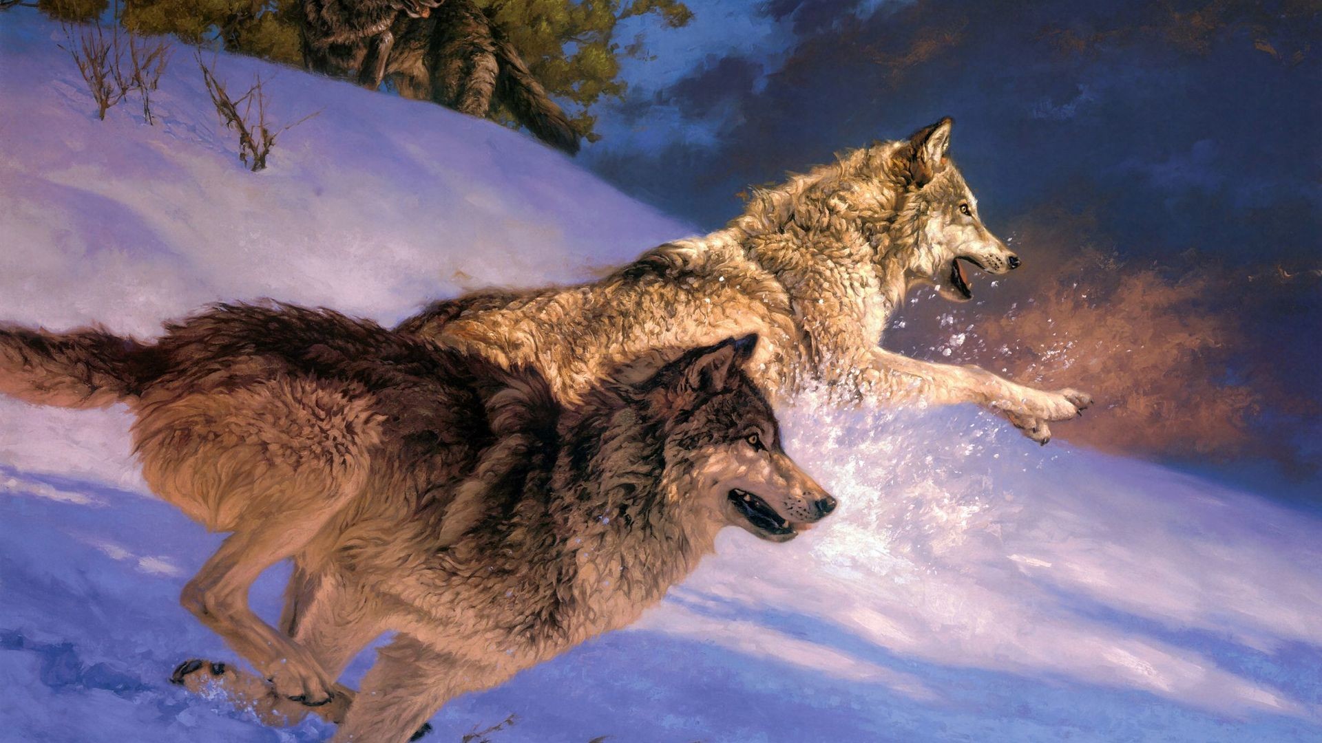 Detail Ice Wolf Wallpaper Nomer 31