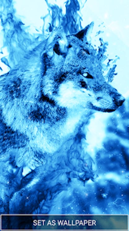 Detail Ice Wolf Wallpaper Nomer 47