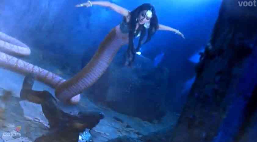 Detail Ichadari Snake Nomer 13