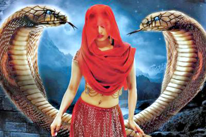 Detail Ichadari Snake Nomer 25