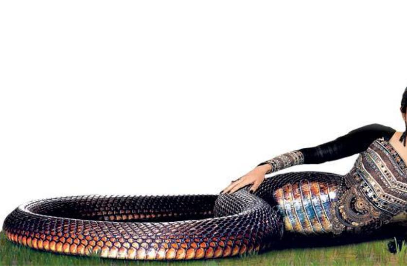 Detail Ichadari Snake Nomer 27
