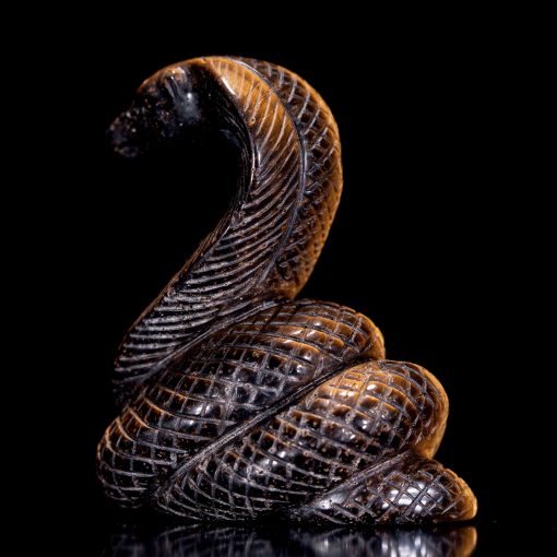 Detail Ichadhari Snake Nomer 35