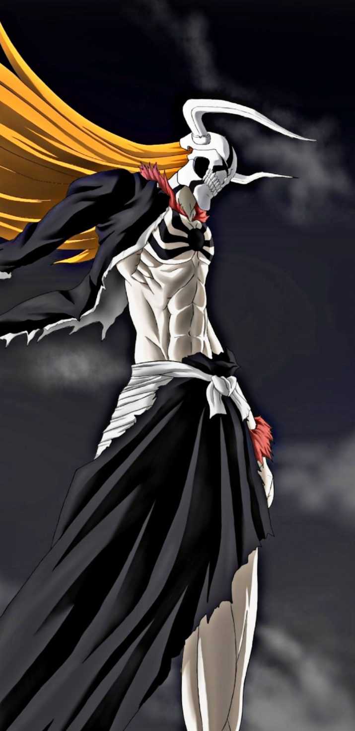 Detail Ichigo Kurosaki Wallpaper Nomer 22