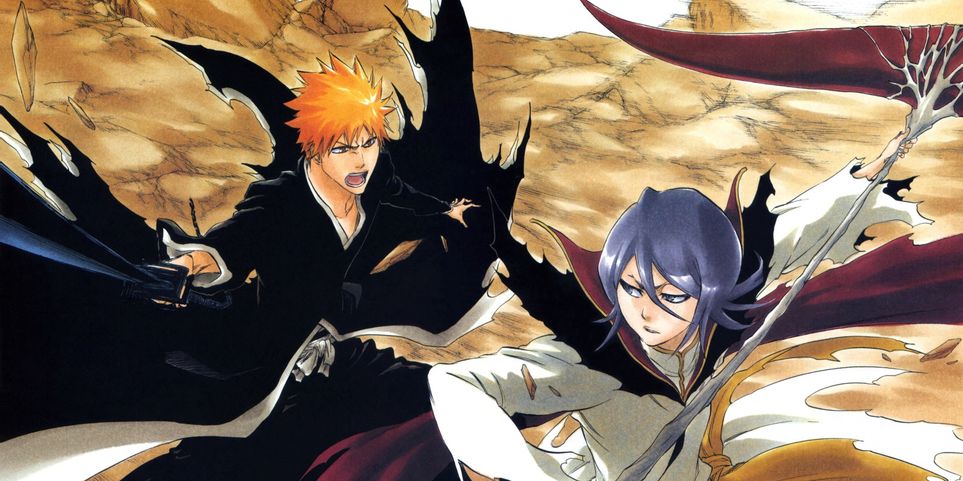 Detail Ichigo X Rukia Nomer 19