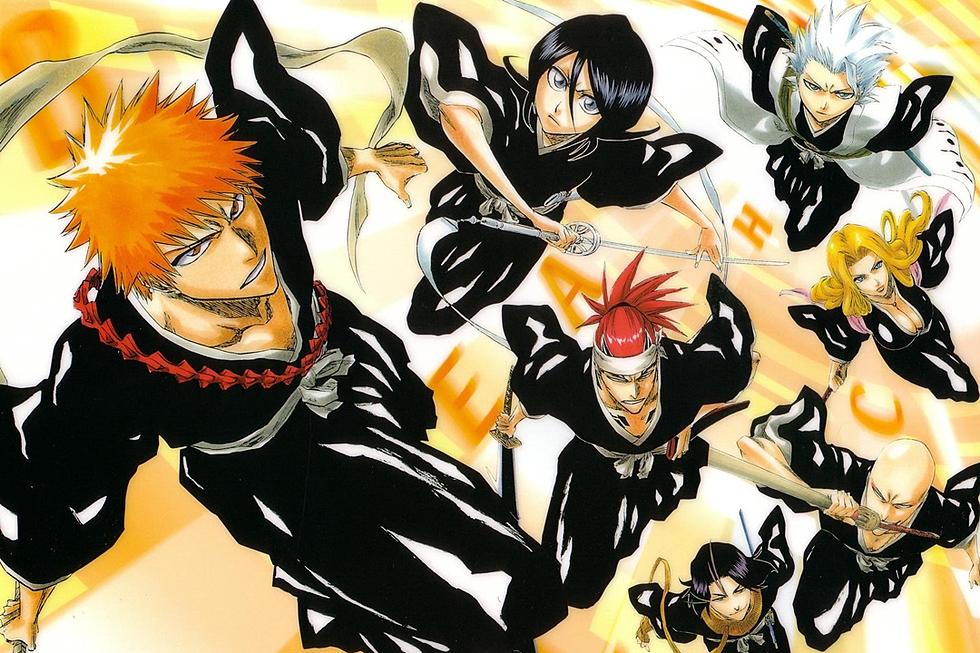 Detail Ichigo X Rukia Nomer 26