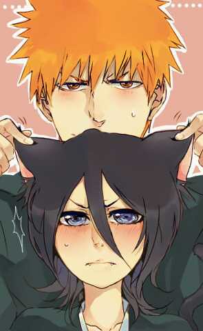 Detail Ichigo X Rukia Nomer 36