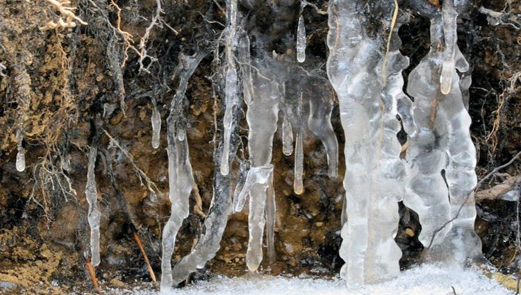 Detail Icicles Pictures Nomer 36