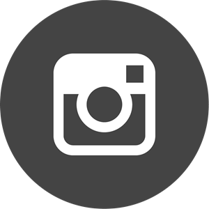 Detail Icon Instagram Vector Nomer 45
