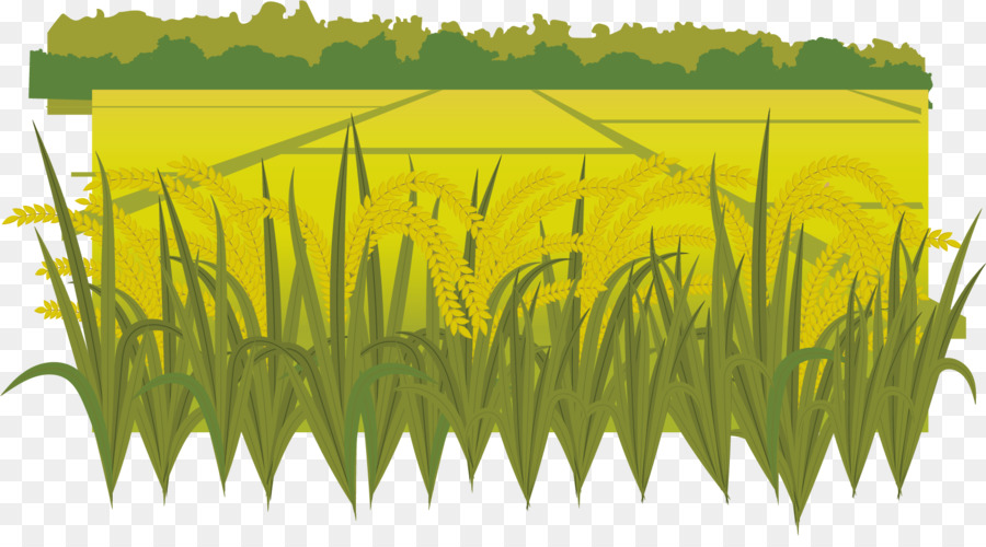 Detail Icon Sawah Png Nomer 3