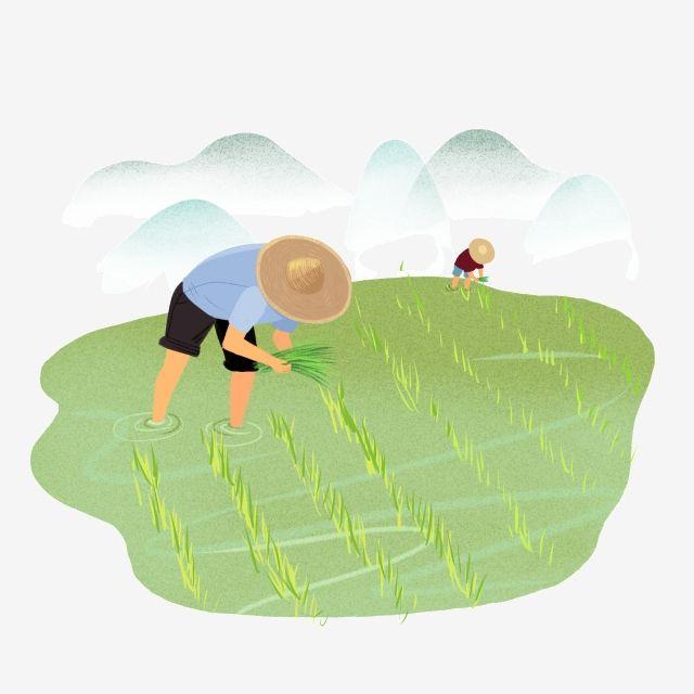 Detail Icon Sawah Png Nomer 8