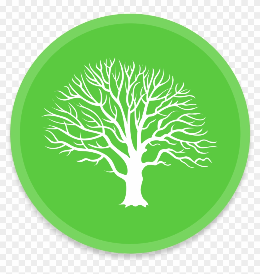 Detail Icon Tree Png Nomer 32