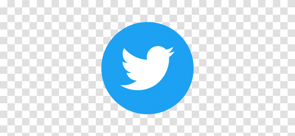 Detail Icon Twitter Nomer 35