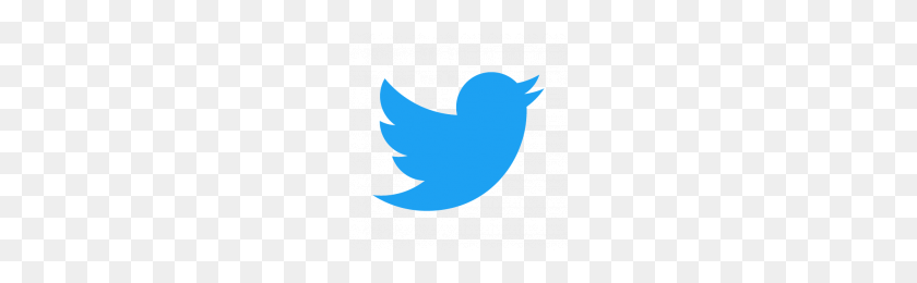 Detail Icon Twitter Vector Nomer 23