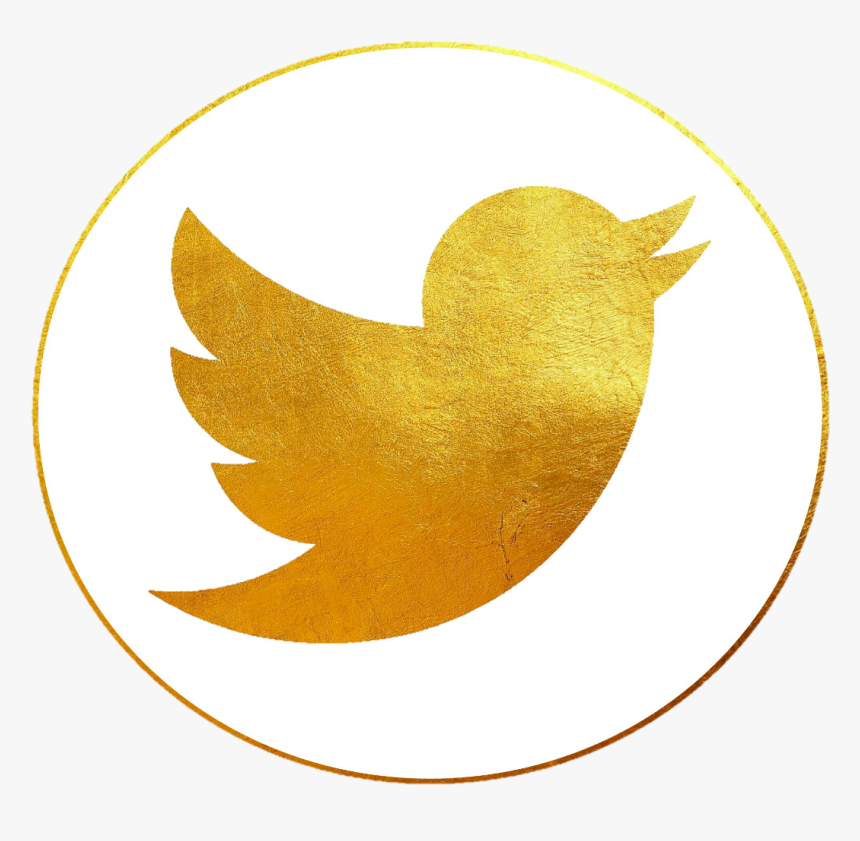 Detail Icon Twitter Vector Nomer 36