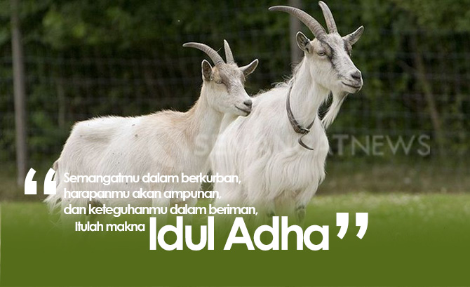 Detail Idul Adha Quotes Nomer 27