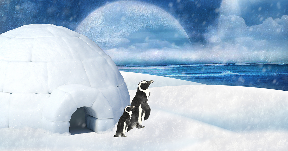 Detail Igloo Background Nomer 21