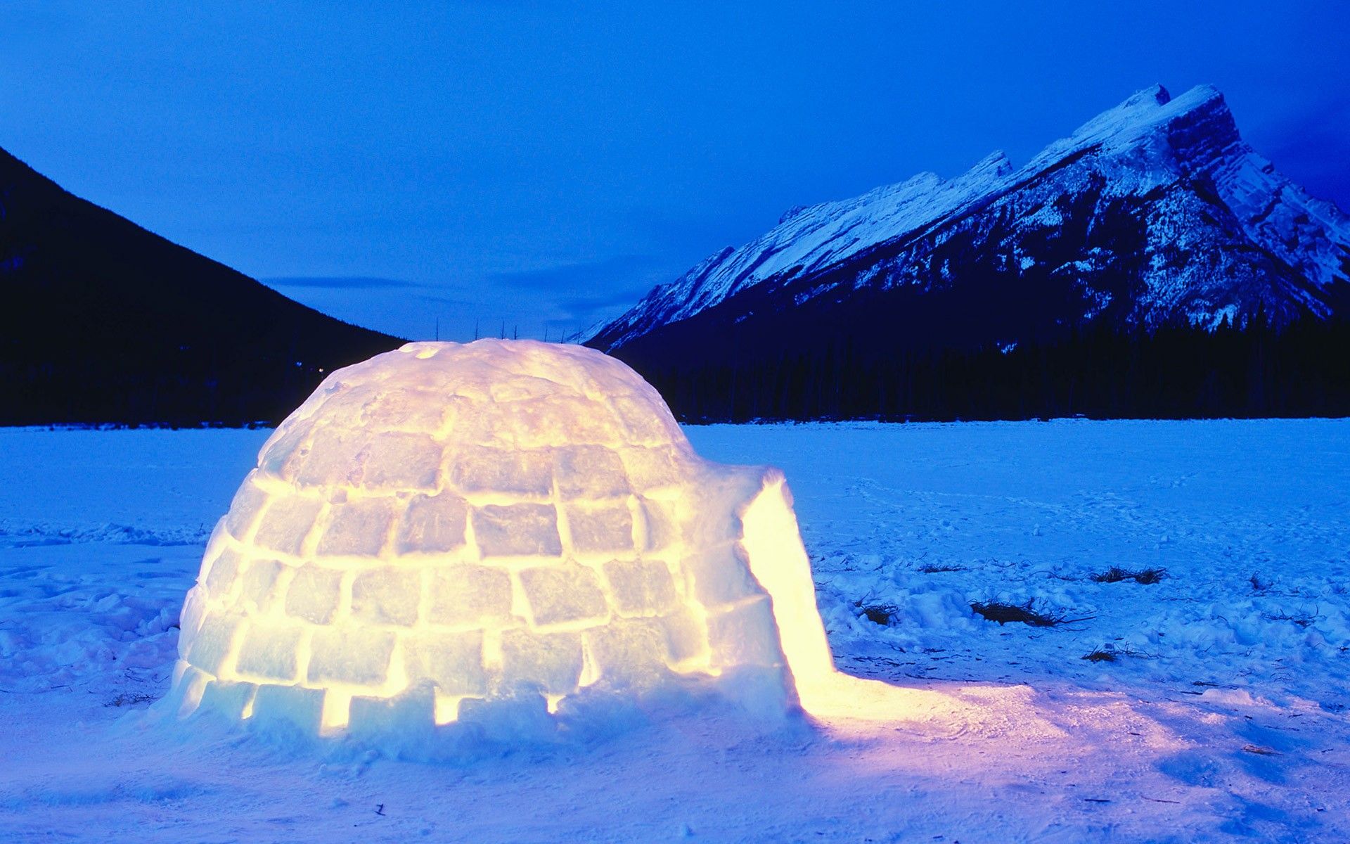 Detail Igloo Background Nomer 32