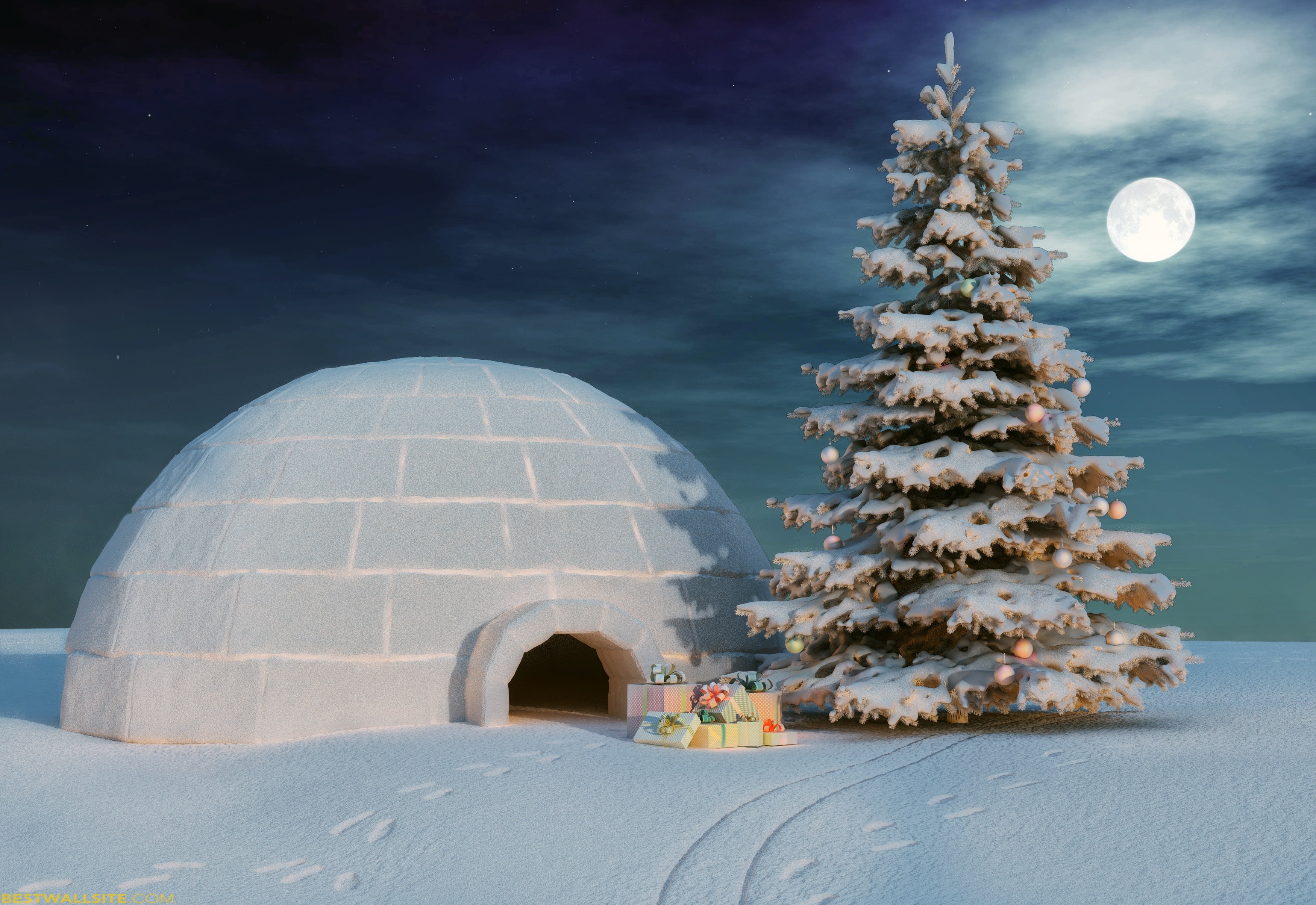 Detail Igloo Background Nomer 42