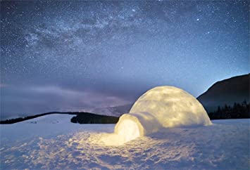Detail Igloo Background Nomer 43
