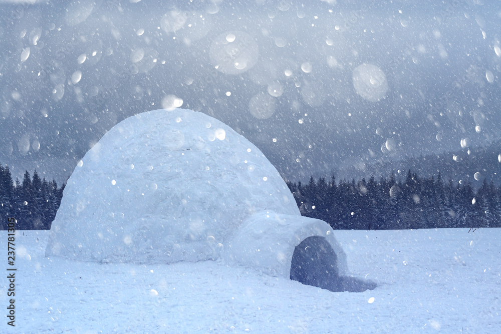 Detail Igloo Background Nomer 56