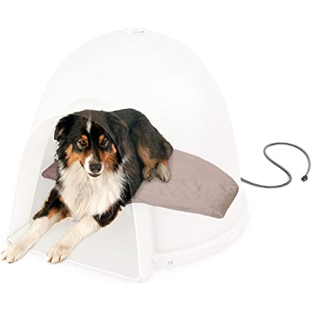 Detail Igloo Dog Pad Nomer 11