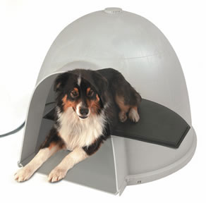 Detail Igloo Dog Pad Nomer 12