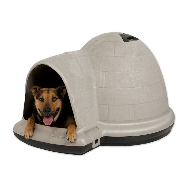 Detail Igloo Dog Pad Nomer 4