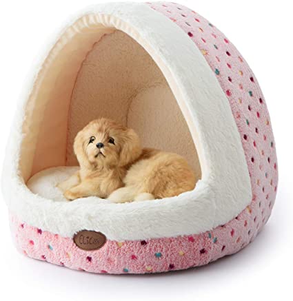 Detail Igloo Dog Pad Nomer 5