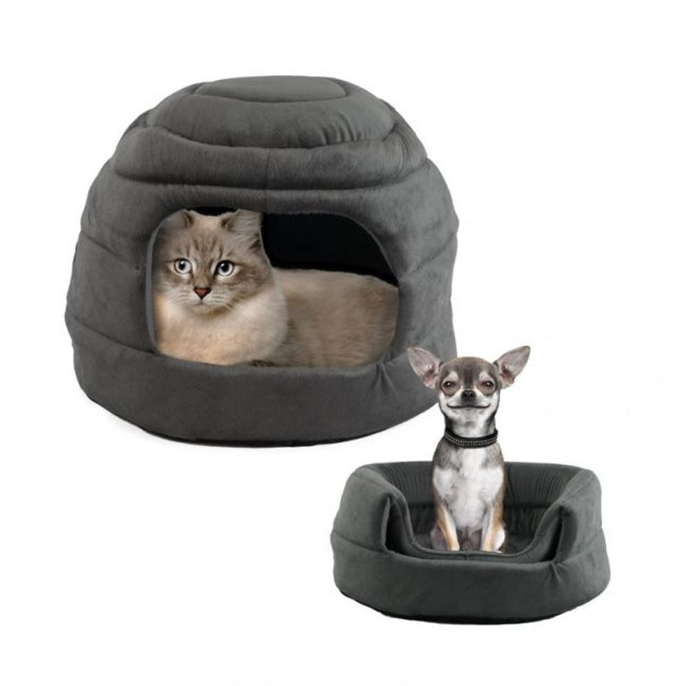 Detail Igloo Dog Pad Nomer 51