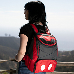 Detail Igloo Mickey Backpack Nomer 12