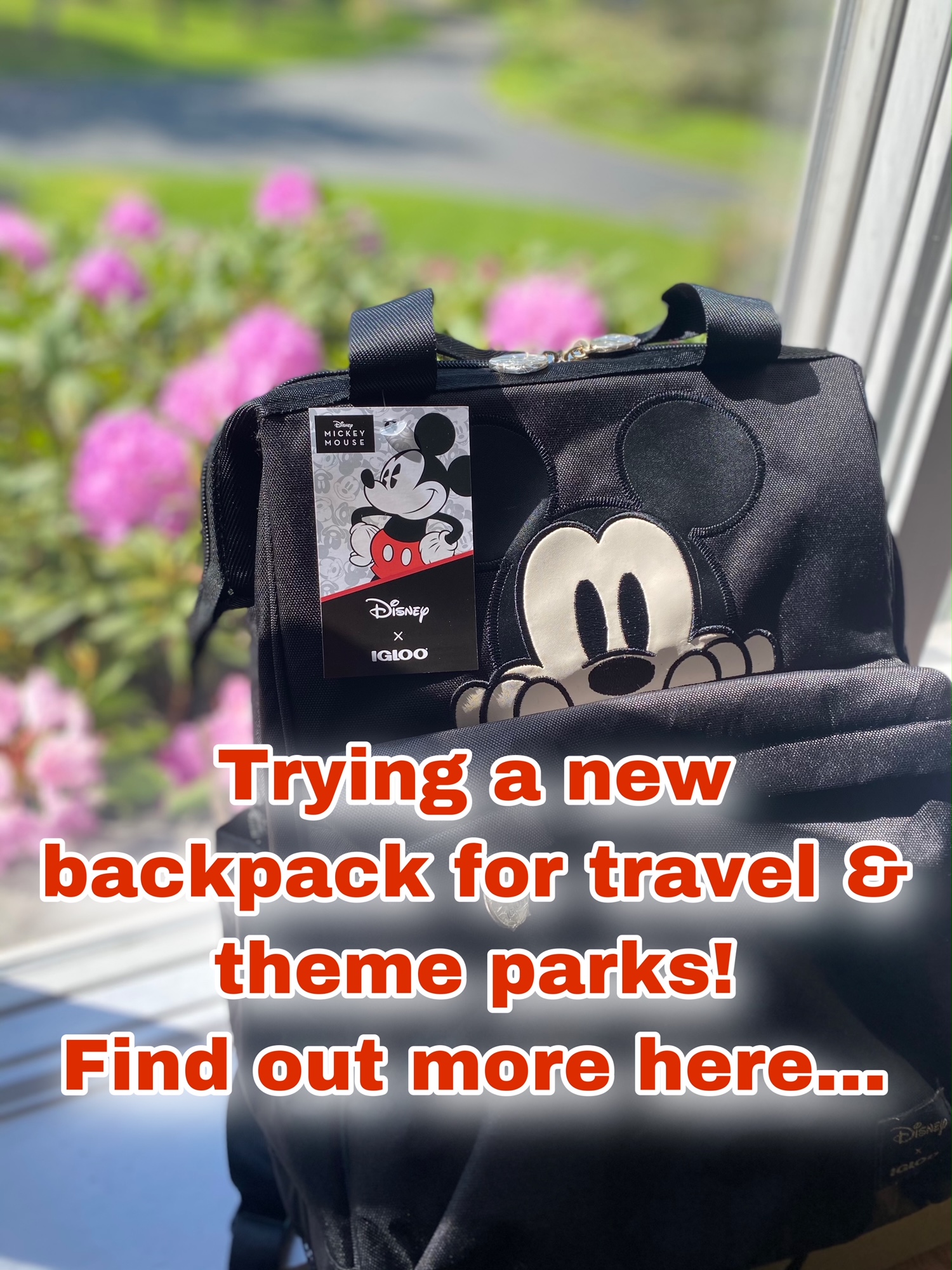 Detail Igloo Mickey Backpack Nomer 18