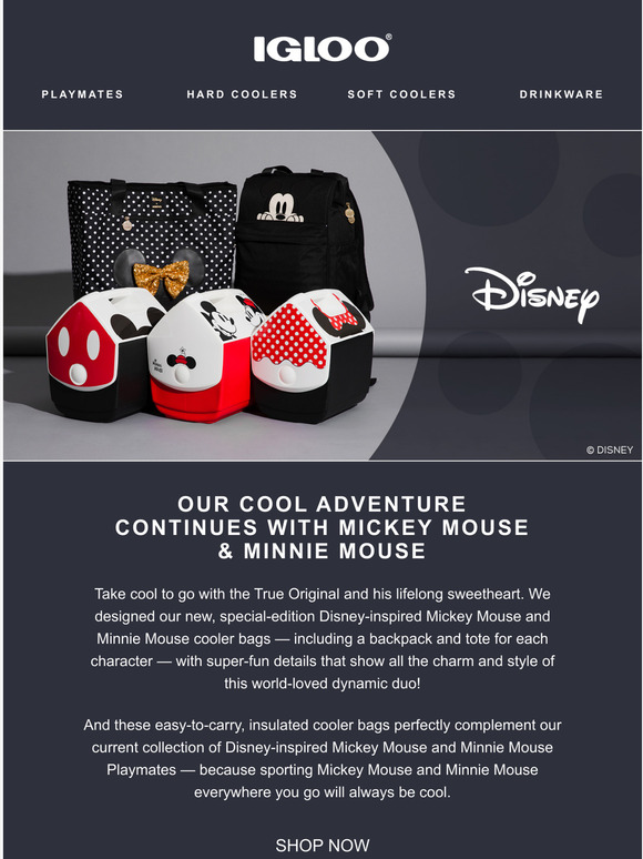 Detail Igloo Mickey Backpack Nomer 39