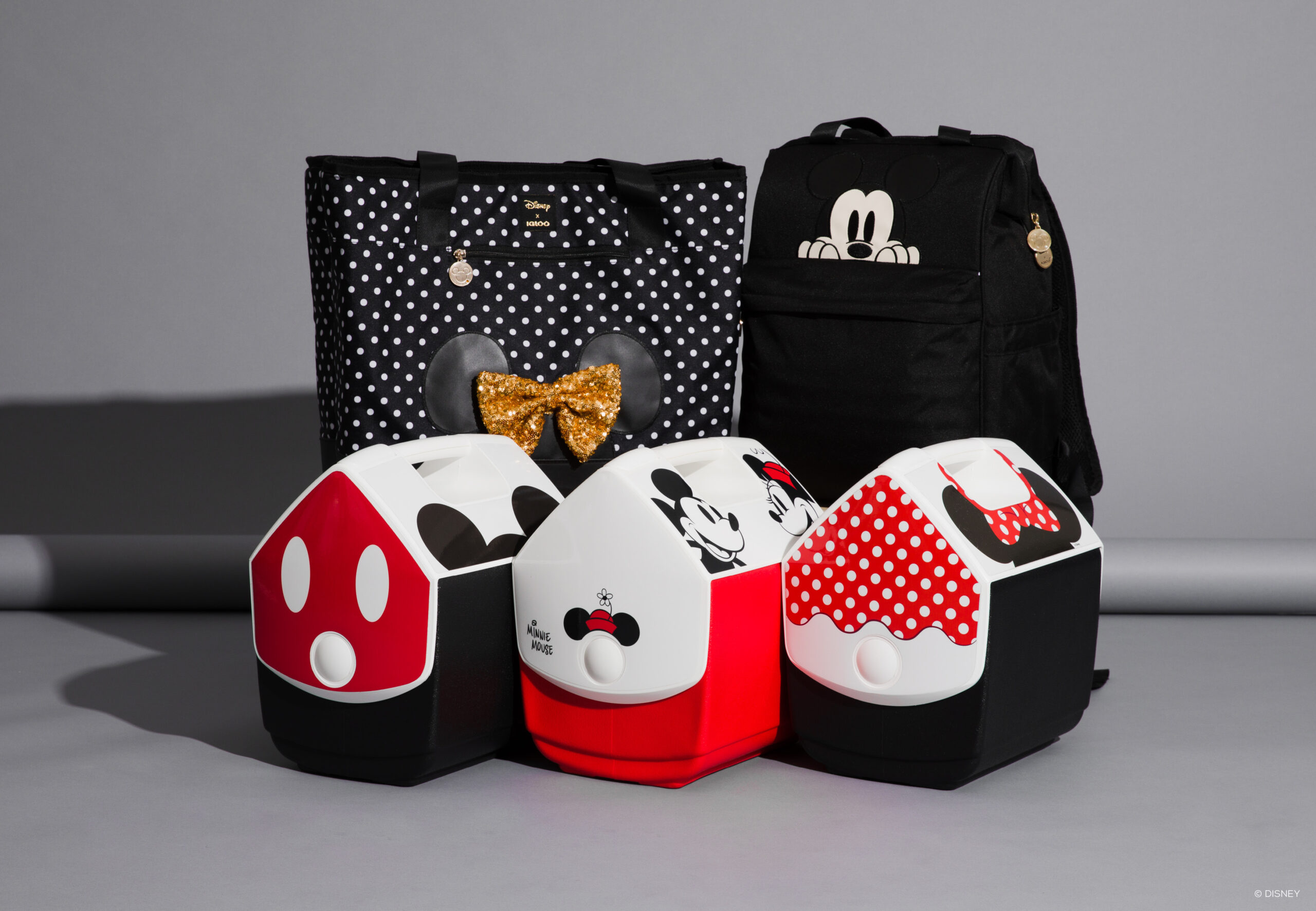 Detail Igloo Mickey Backpack Nomer 8