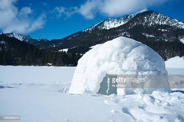 Detail Igloo Pics Nomer 19