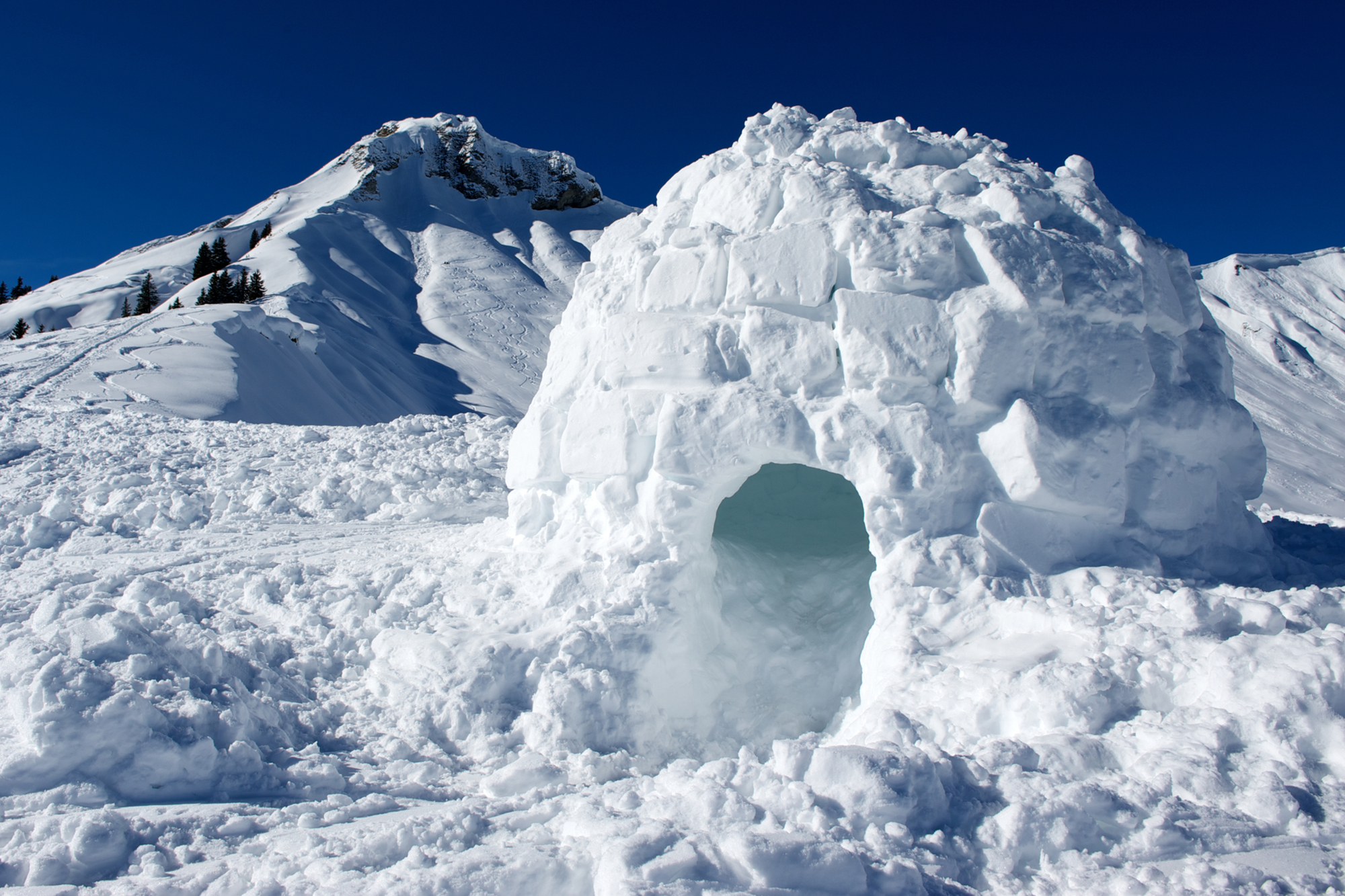 Detail Igloo Pics Nomer 6