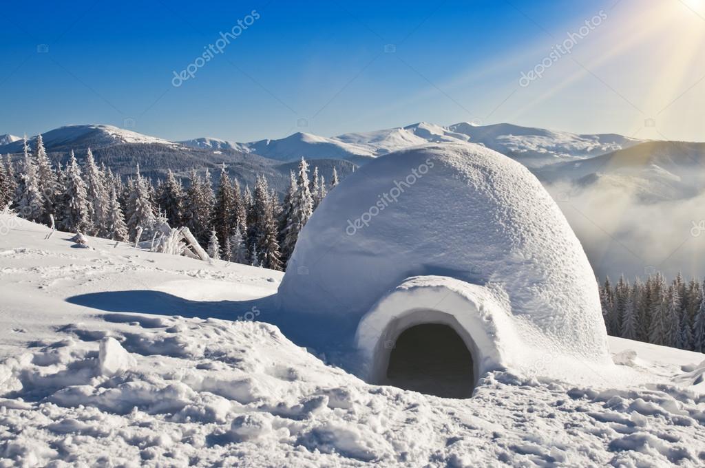Detail Igloo Pics Nomer 51