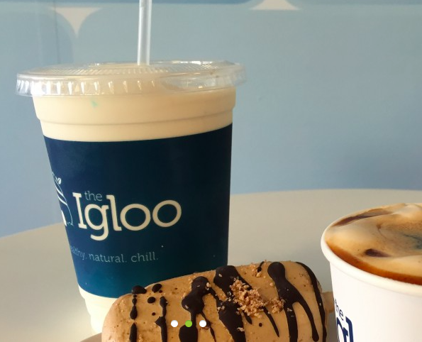 Detail Igloo Yogurt Nomer 26