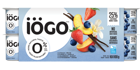 Detail Igloo Yogurt Nomer 4