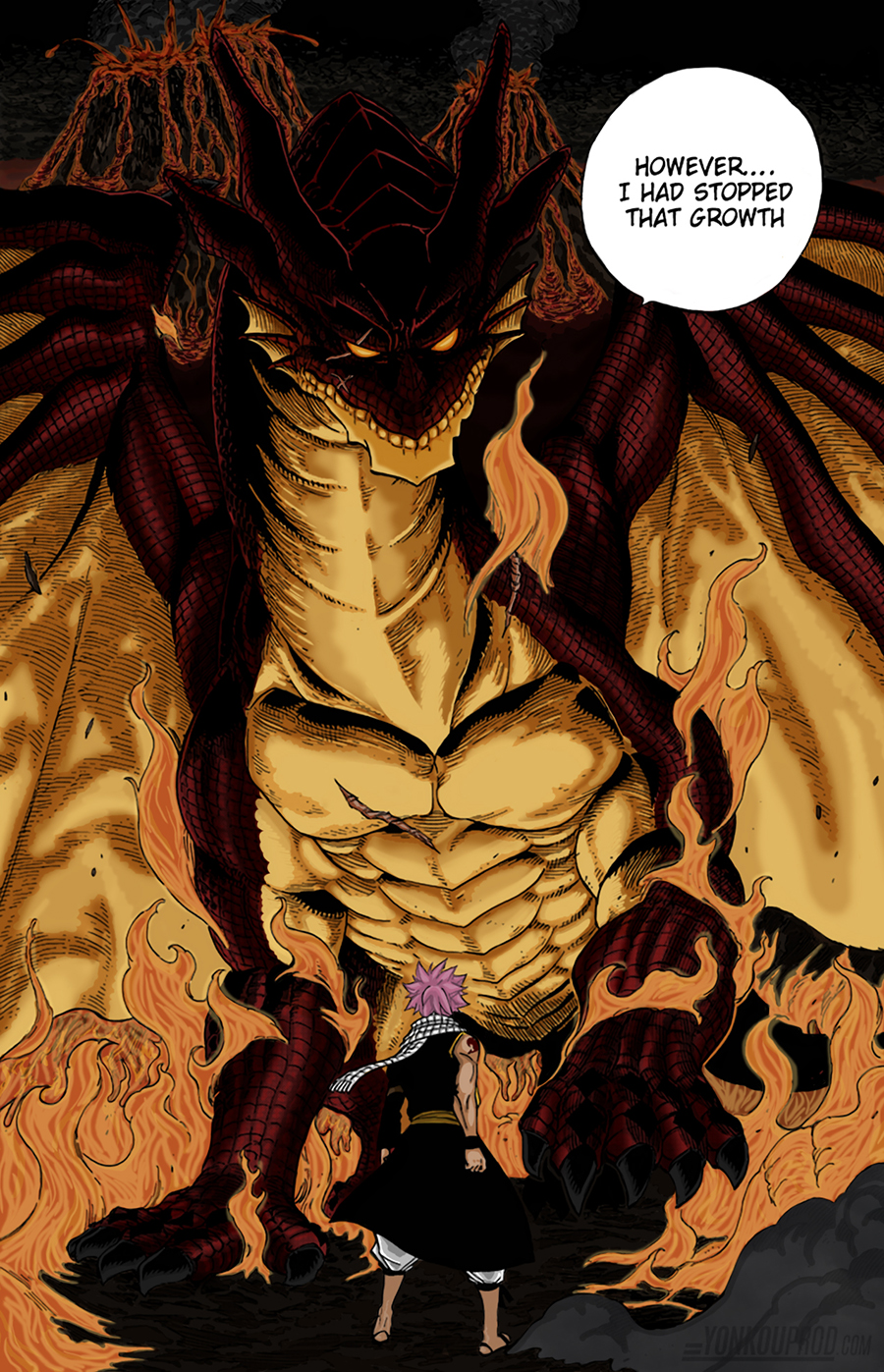 Detail Igneel Fairy Tail Nomer 5