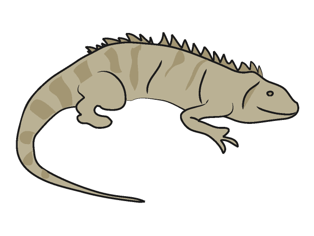 Detail Iguana Clipart Nomer 19