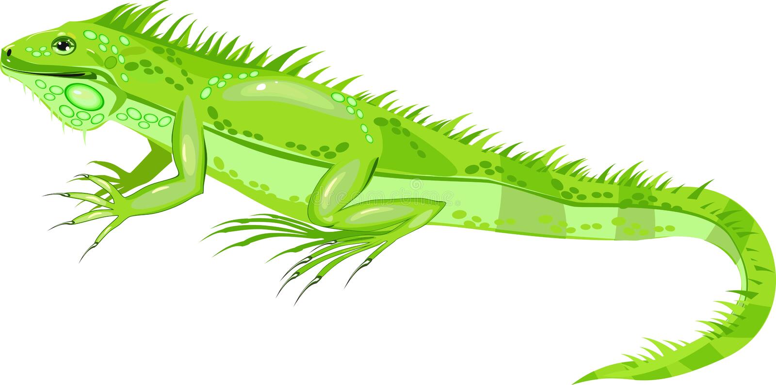 Detail Iguana Clipart Nomer 48