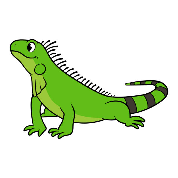 Detail Iguana Clipart Nomer 49