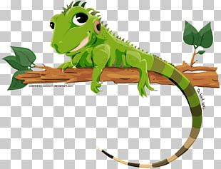 Detail Iguana Clipart Nomer 51