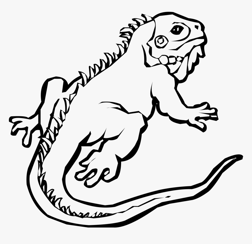 Detail Iguana Clipart Black And White Nomer 2