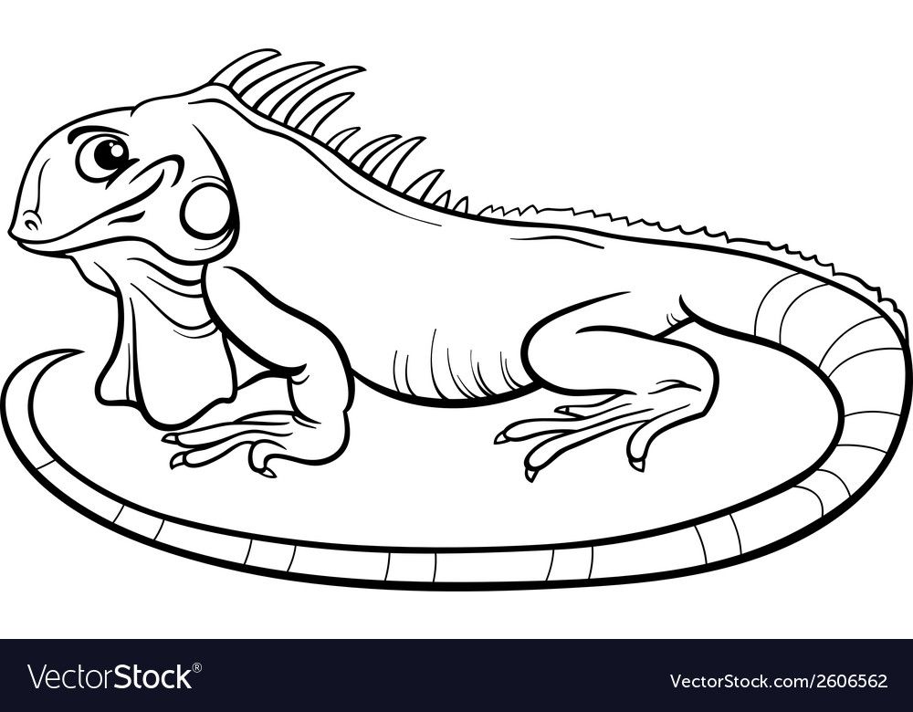 Detail Iguana Clipart Black And White Nomer 3