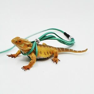 Detail Iguana Leash Nomer 2