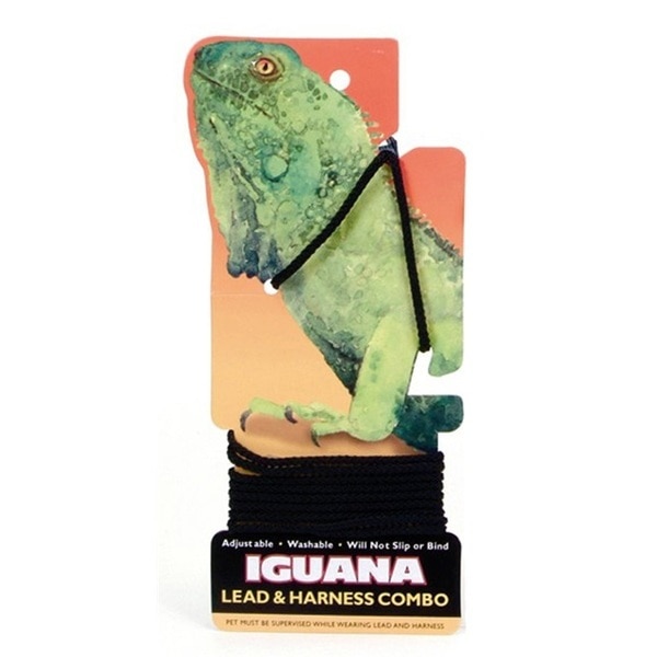 Detail Iguana Leash Nomer 20