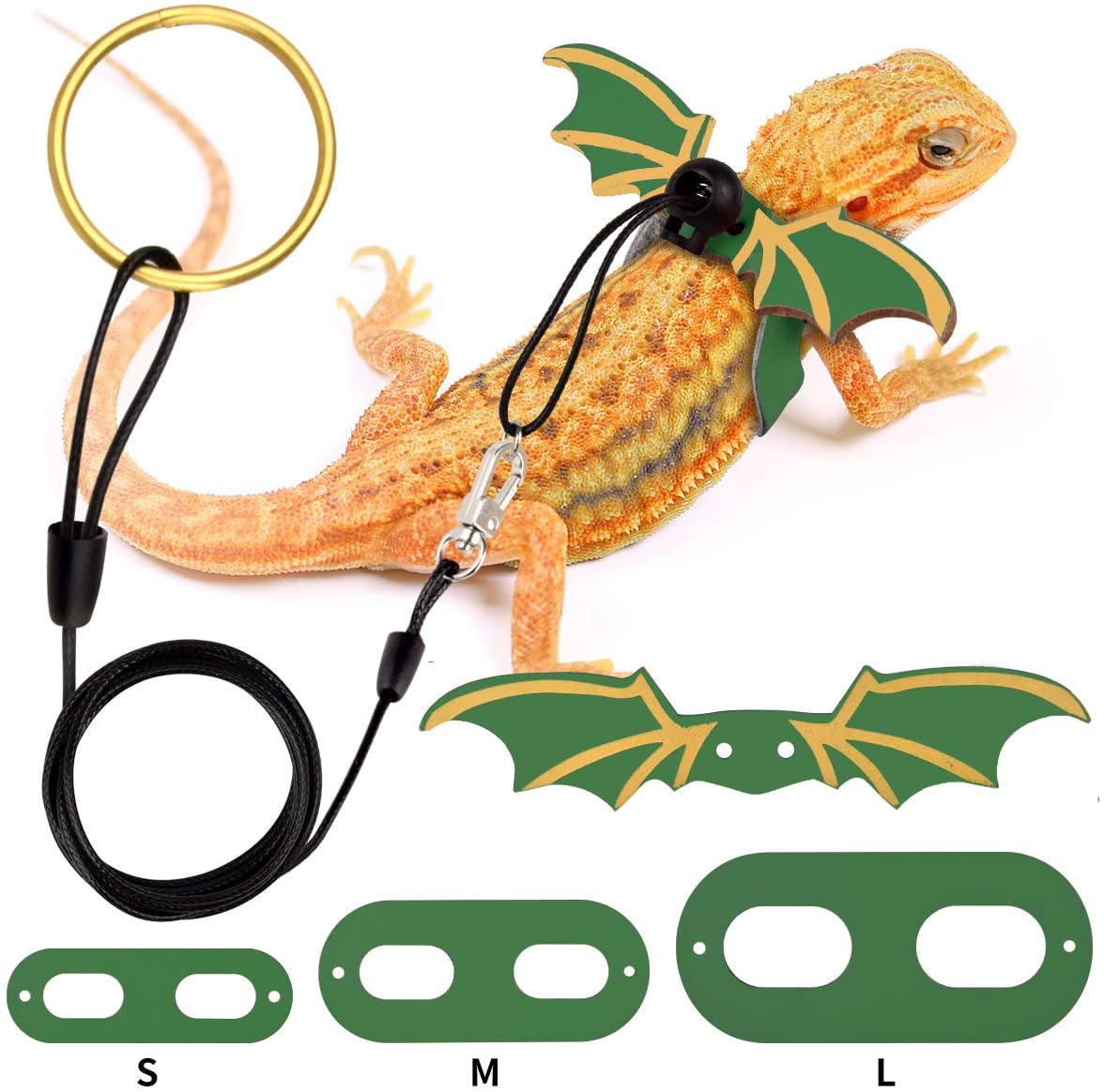 Detail Iguana Leash Nomer 35