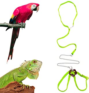 Detail Iguana Leash Nomer 40